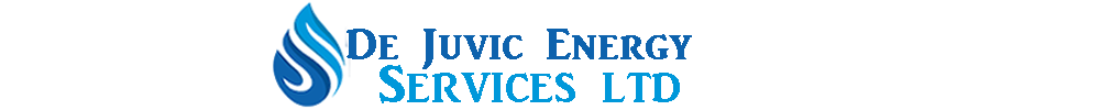De Juvic Energy Services Ltd